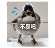 872669369