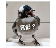872669370