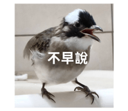 872669371