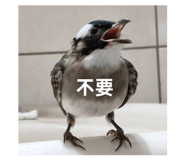 872669372