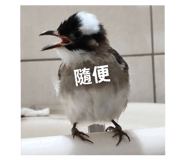 872669373