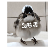 872669374