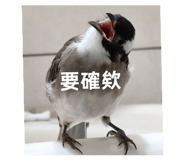 872669376