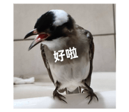 872669377