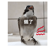 872669380