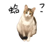 872670128