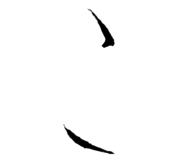 872690106