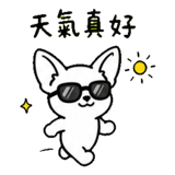 872708205