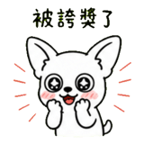 872708213