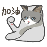 872741111