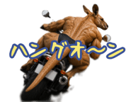 872745614