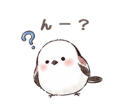 872748011