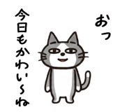 872749025