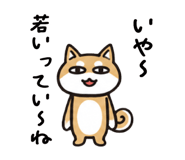 872749026