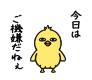 872749036