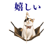 872757206