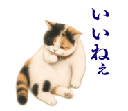 872757207