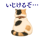 872757213