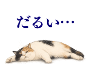 872757217