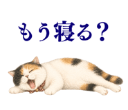 872757219