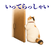 872757222
