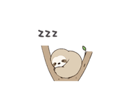 872758384