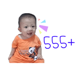 87277997