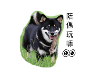 872853686