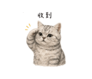 872866811
