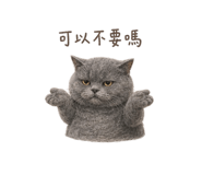 872866815