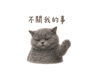 872866816