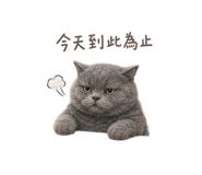 872866817