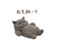 872866820