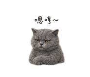 872866822