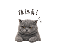 872866829