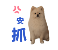 872868785