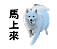 872868786