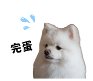 872868791