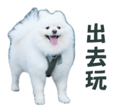 872868792