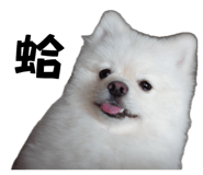 872868793