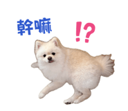 872868794