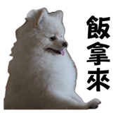 872868796