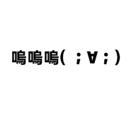 872876732