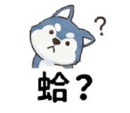 872881394