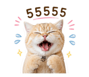872898568