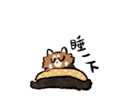 872911009