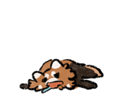 872911010