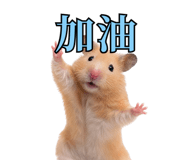 872913934