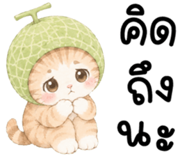 ฟรุตตี้ แมวน้อยแสนซน รูปที่ 1