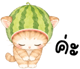 ฟรุตตี้ แมวน้อยแสนซน รูปที่ 4